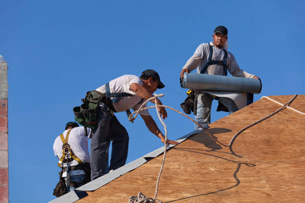 Best Roof Repair Services  in Burns Harbor, IN