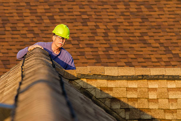 Best Roof Gutter Cleaning  in Burns Harbor, IN